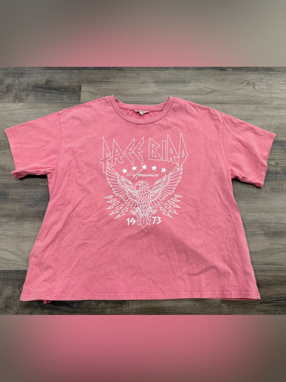 Blue Velvet Pink Free Bird Eagle Graphic Oversized Tee